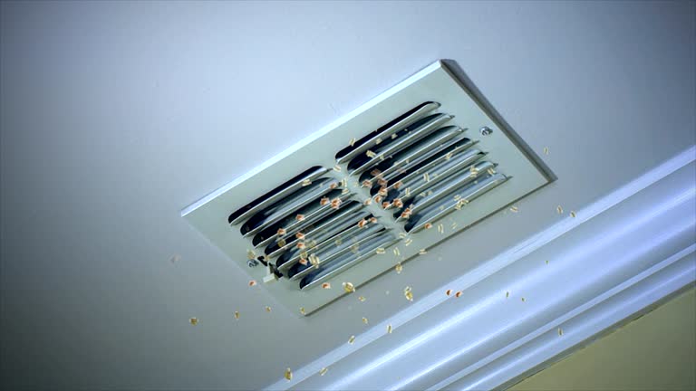 Best Air Vent Cleaning Services  in Williston, ND